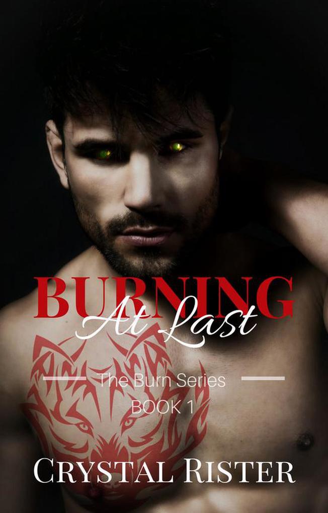 Burning At Last ((The Burn Series : Book 1))