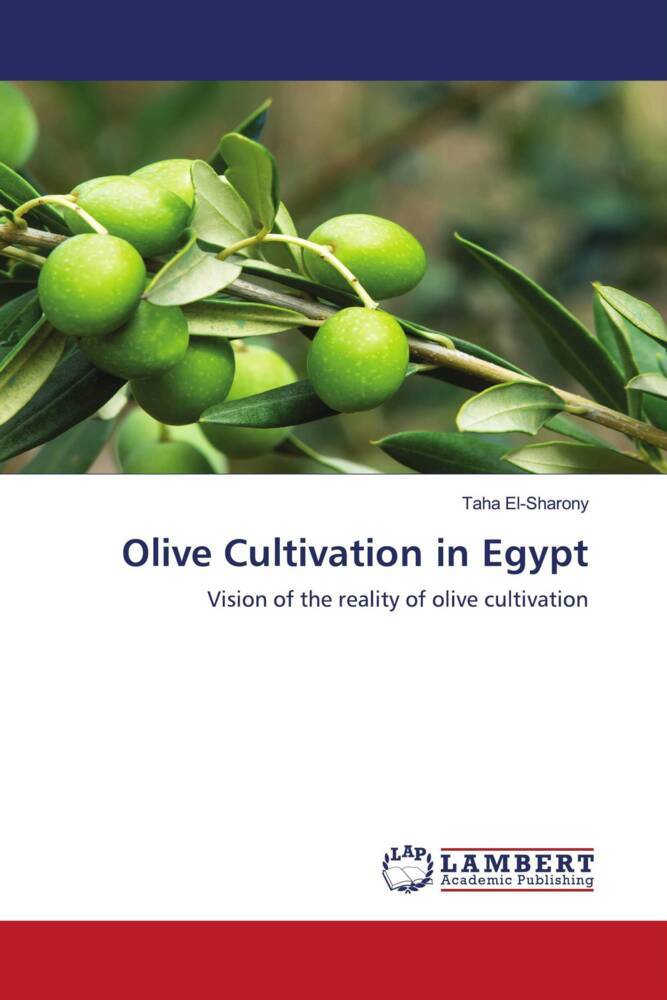 Olive Cultivation in Egypt