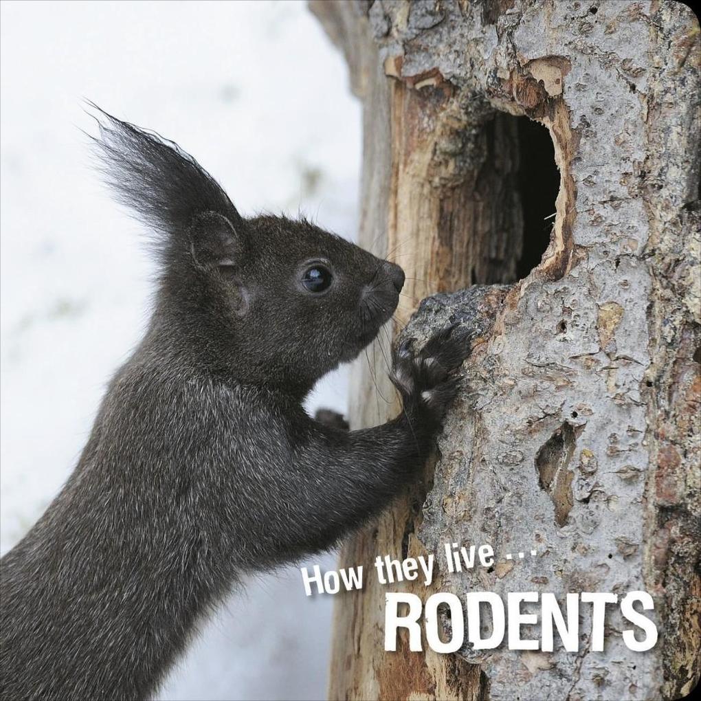 How they live... Rodents