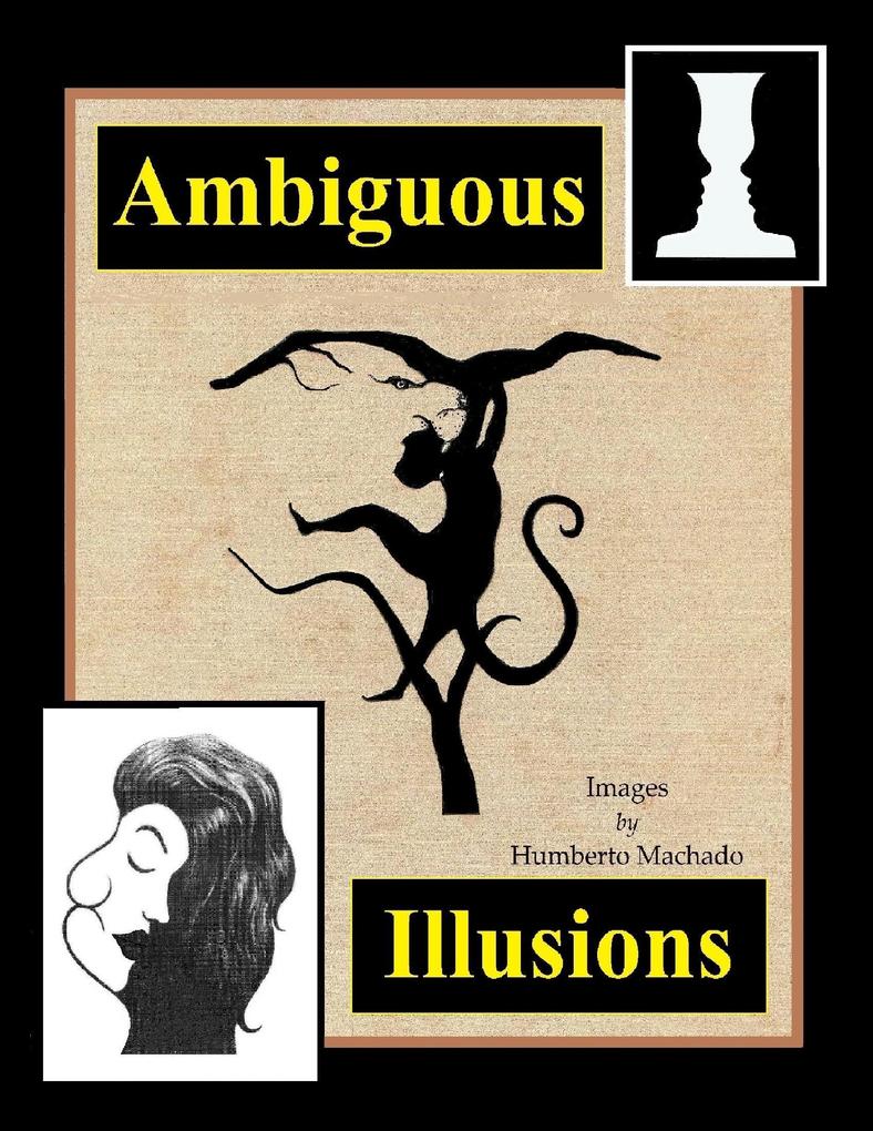 Ambiguous Illusions
