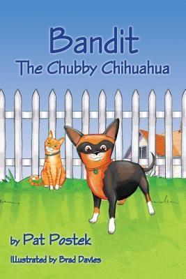 Bandit The Chubby Chihuahua