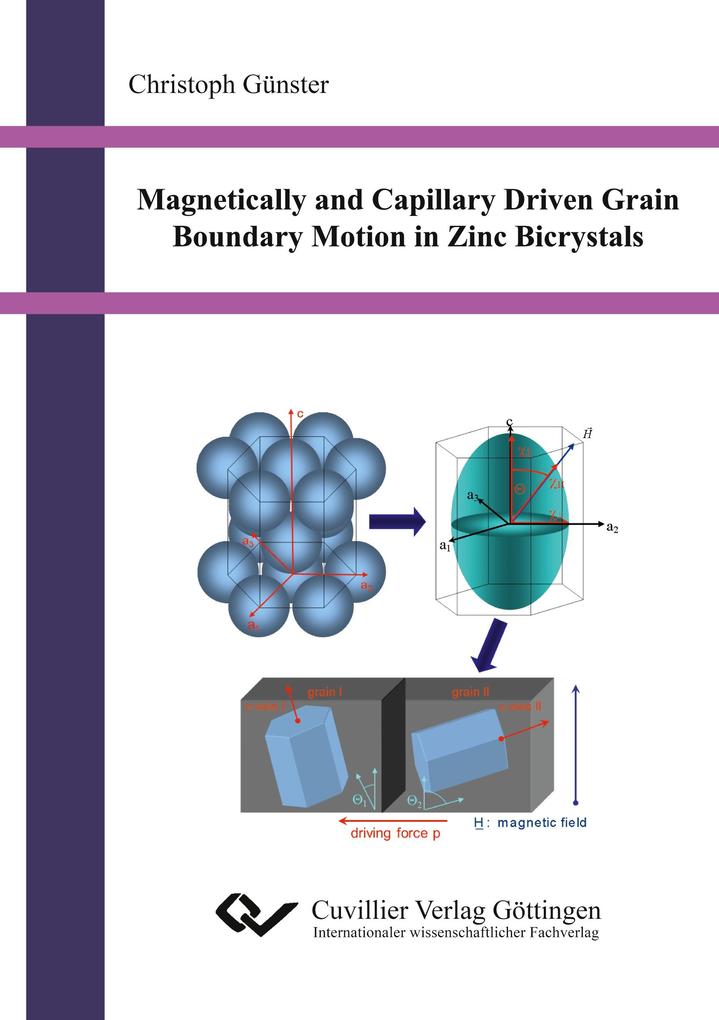 Magnetically and Capillary Driven Grain Boundary Motion in Zinc Bicrystals
