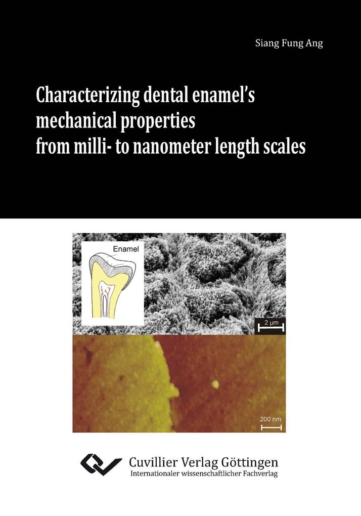 Characterizing dental enamels mechanical properties from milli- to nanometer length scales