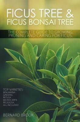 Ficus Tree and Ficus Bonsai Tree. The Complete Guide to Growing Pruning and Caring for Ficus. Top Varieties
