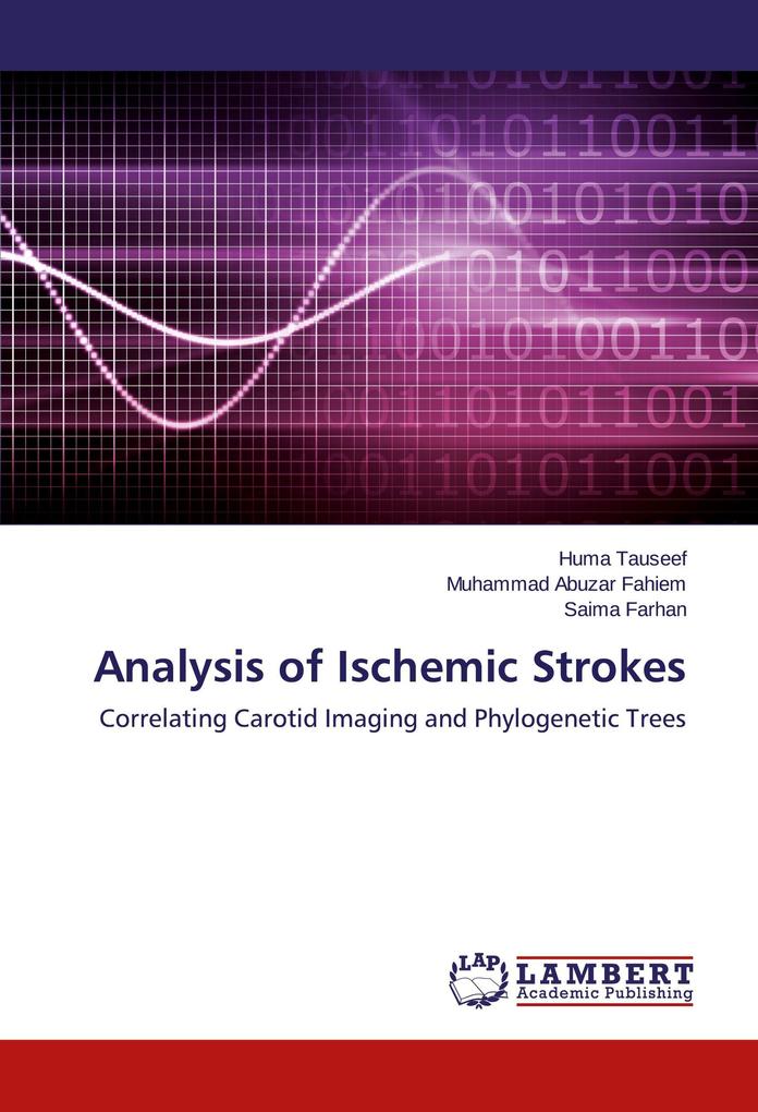 Analysis of Ischemic Strokes