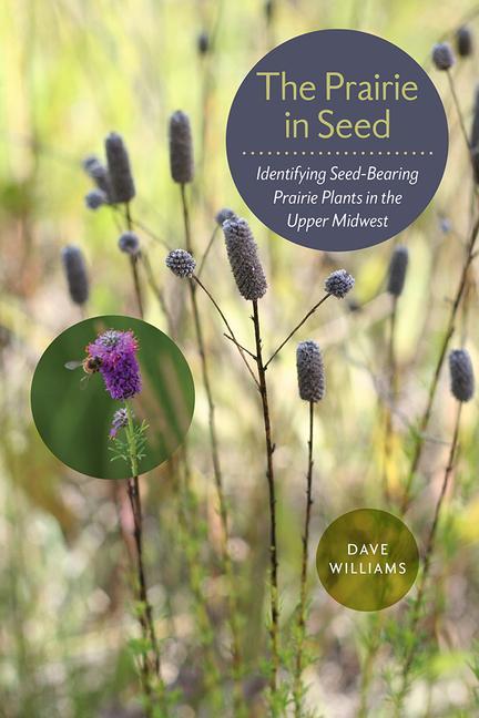 The Prairie in Seed: Identifying Seed-Bearing Prairie Plants in the Upper Midwest