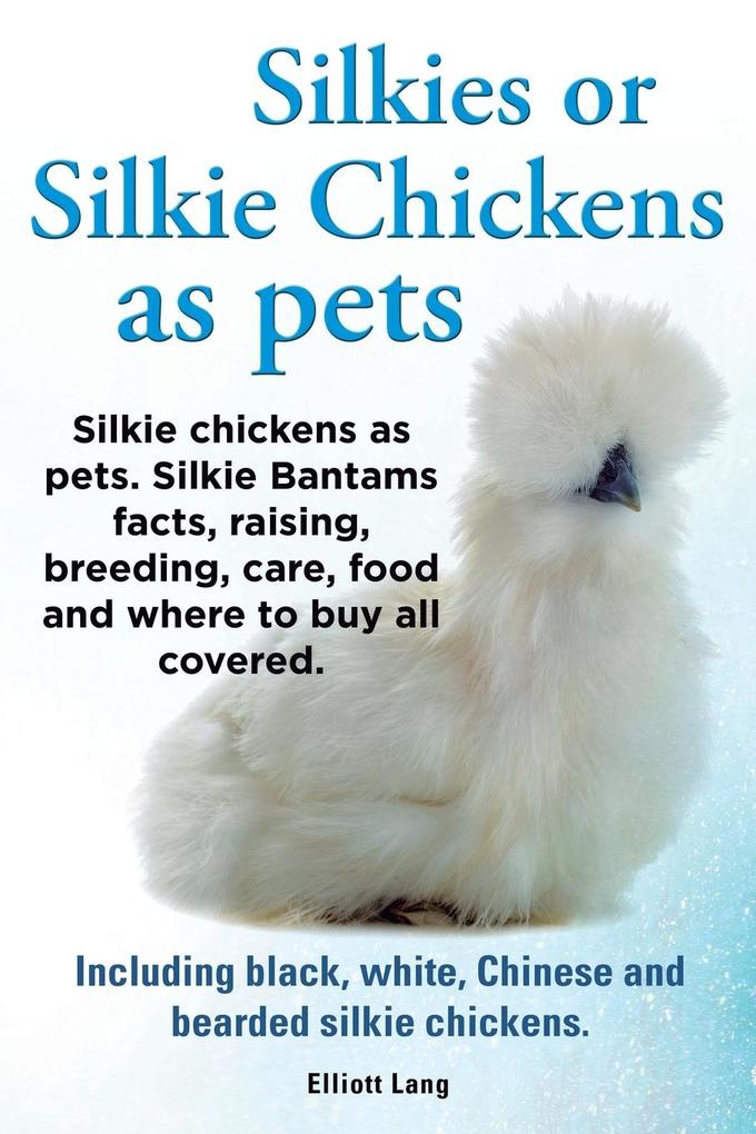 Silkies or Silkie Chickens as Pets. Silkie Bantams Facts Raising Breeding Care Food and Where to Buy All Covered. Including Black White Chinese