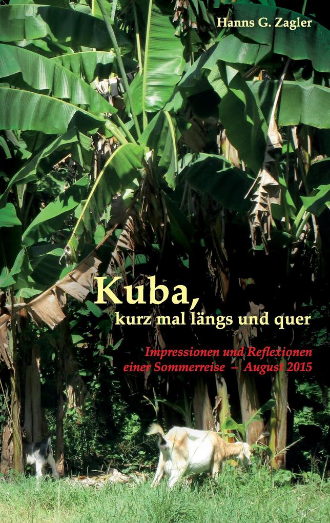 Kuba kurz mal längs und quer