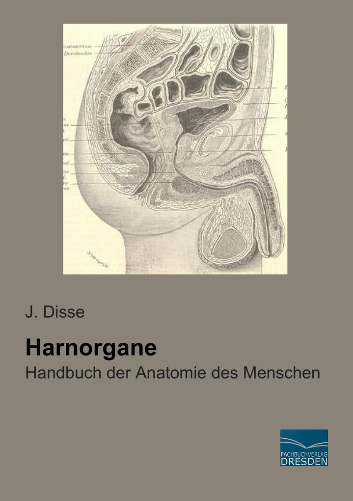 Harnorgane - J. Disse