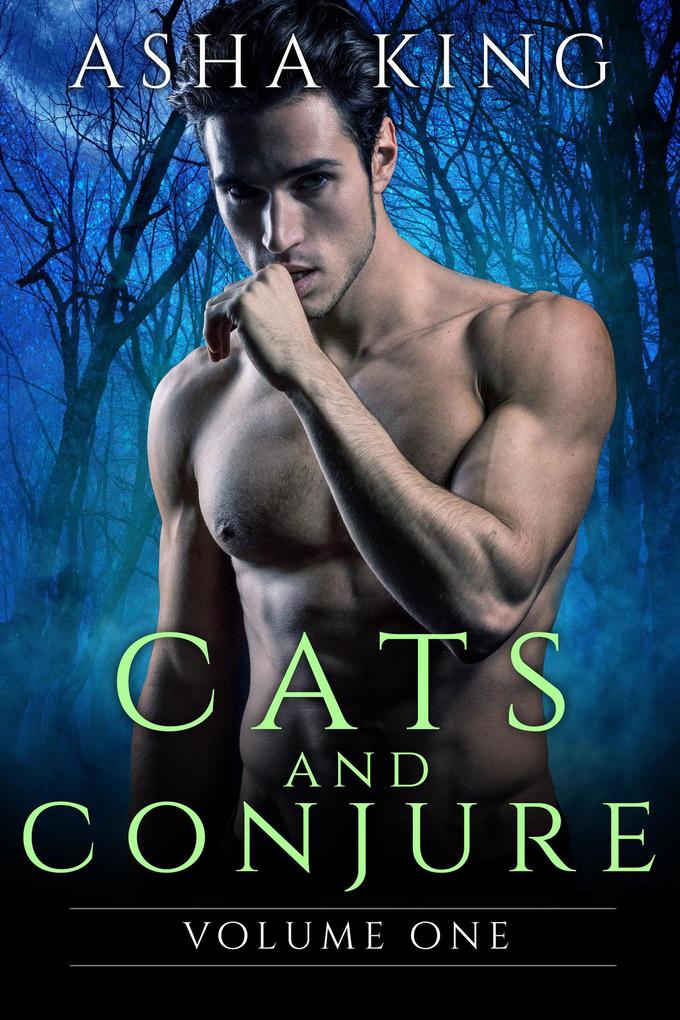 Cats & Conjure Volume One