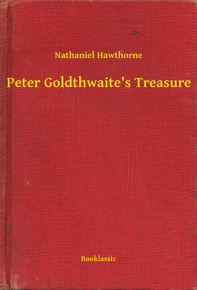 Peter Goldthwaite‘s Treasure
