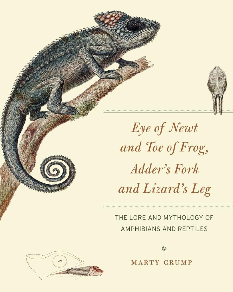 Eye of Newt and Toe of Frog Adder's Fork and Lizard's Leg
