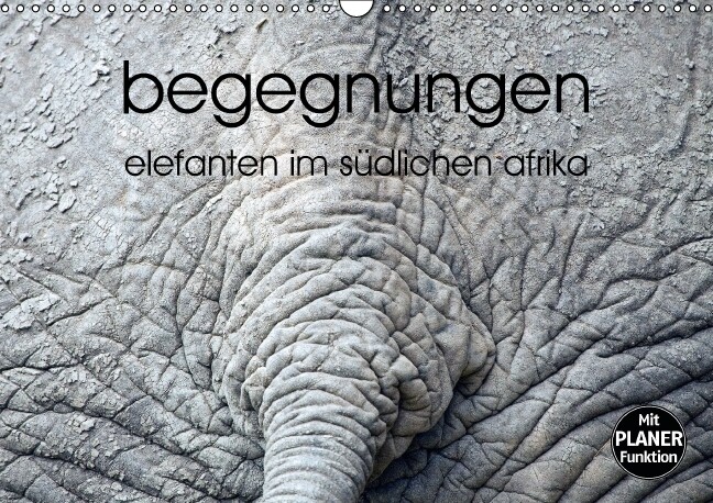 begegnungen - elefanten im südlichen afrika (Wandkalender immerwährend DIN A3 quer)