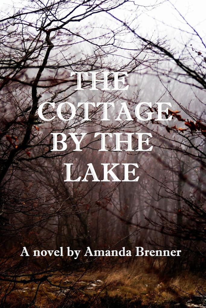 The Cottage by the Lake (Sid Langdon Mysteries #2)