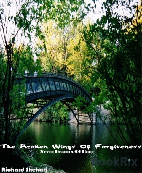 The broken wings of forgiveness