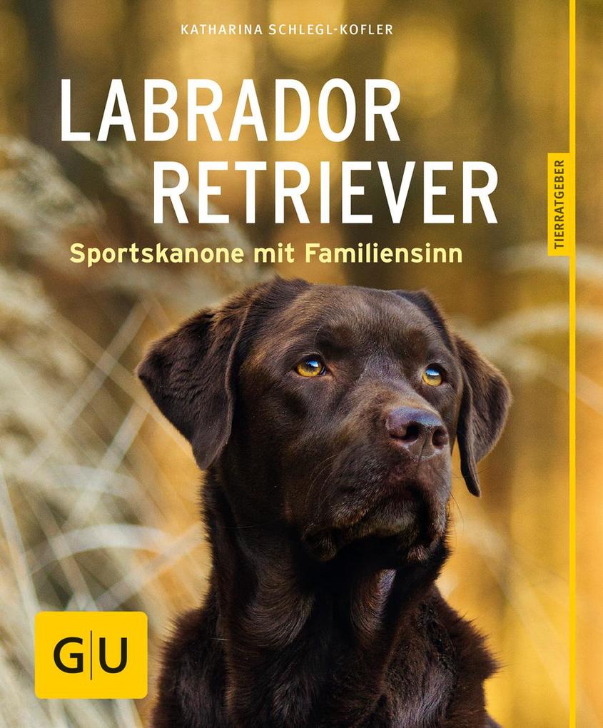 Image of Labrador Retriever
