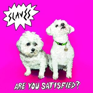 Are You Satisfied? (Vinyl)