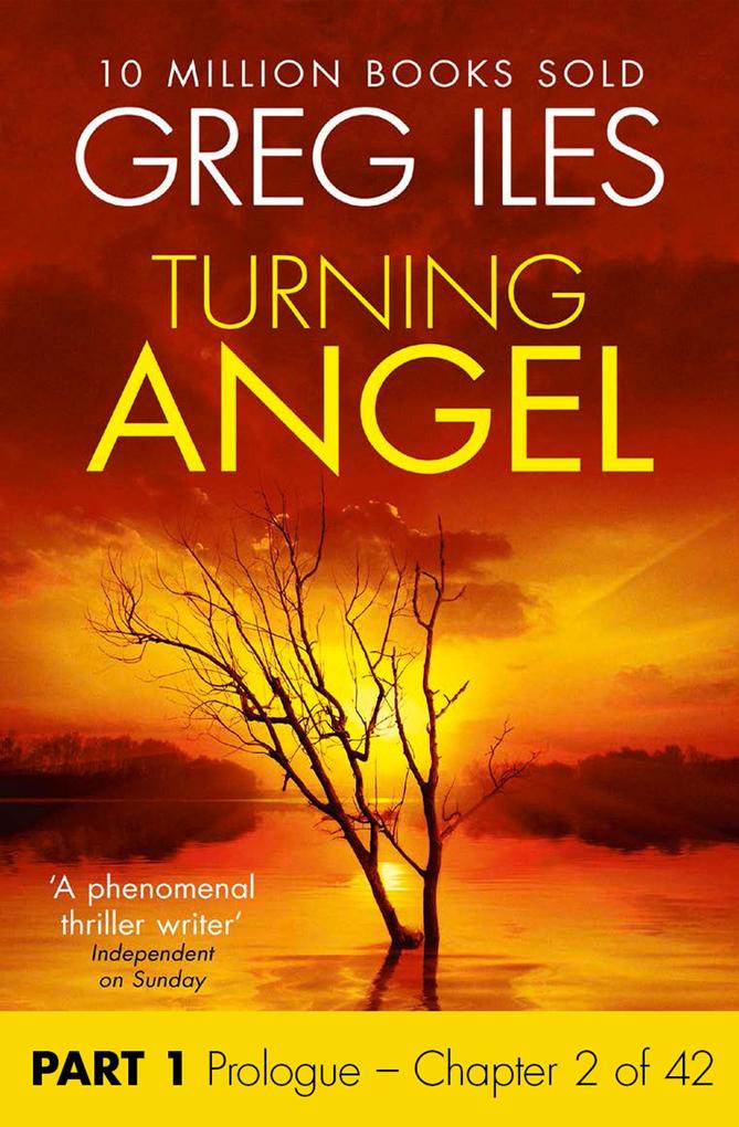 Turning Angel: Part 1 Prologue to Chapter 2 inclusive