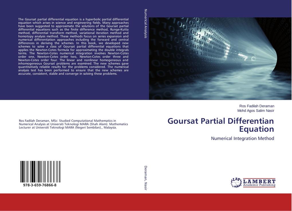 Goursat Partial Differentian Equation