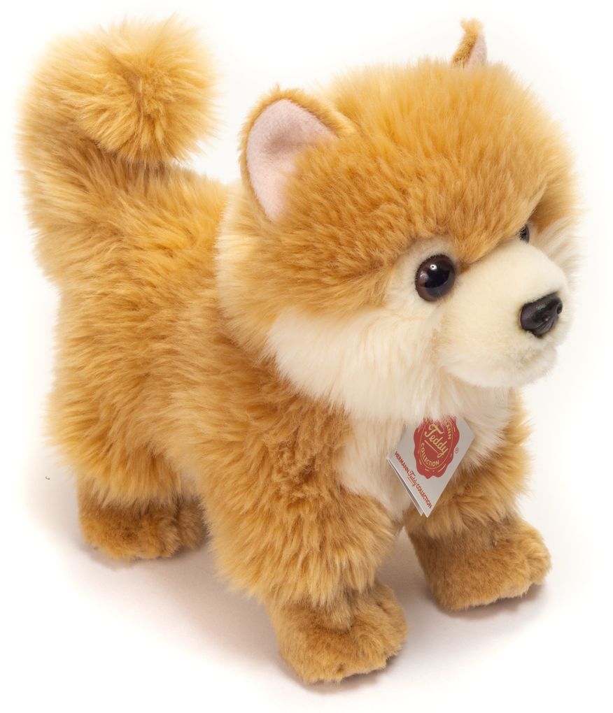 Teddy-Hermann - Zwergspitz 22 cm