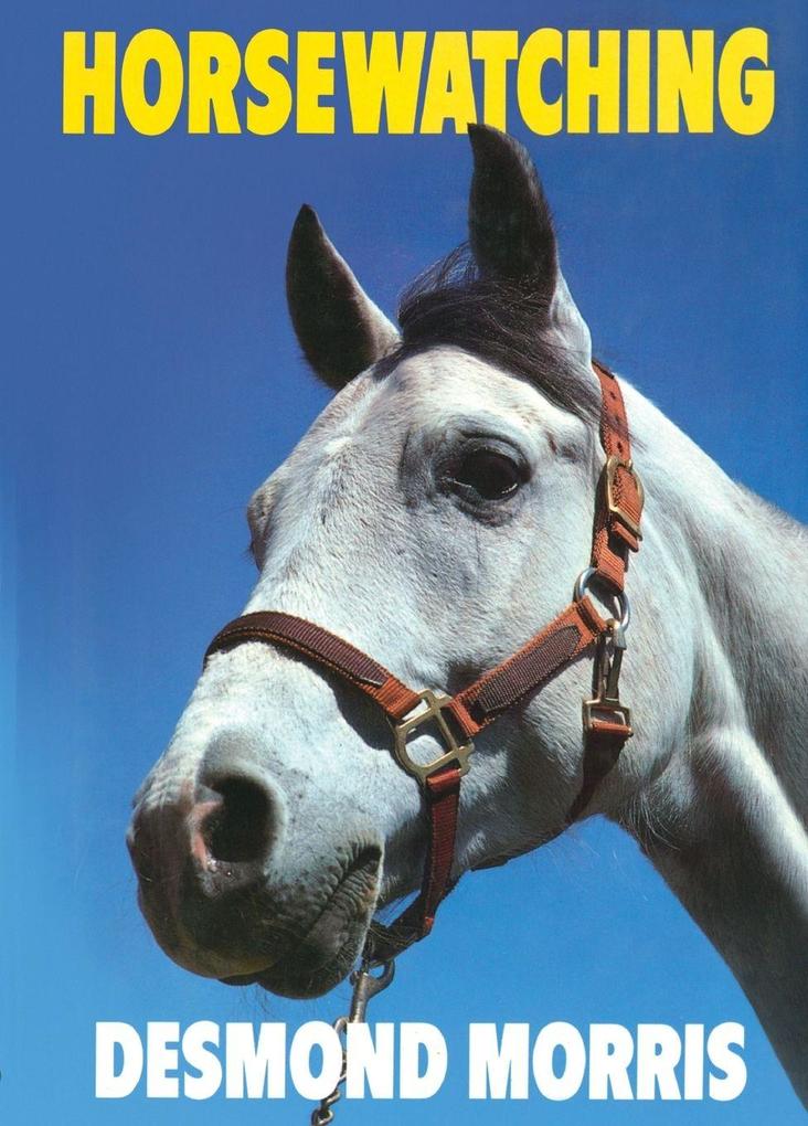 Horsewatching