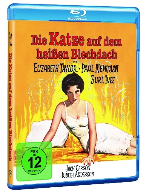 Die Katze auf dem heißen Blechdach