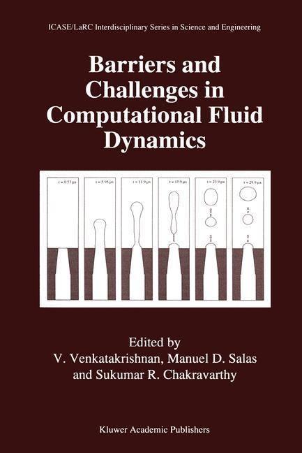 Barriers and Challenges in Computational Fluid Dynamics