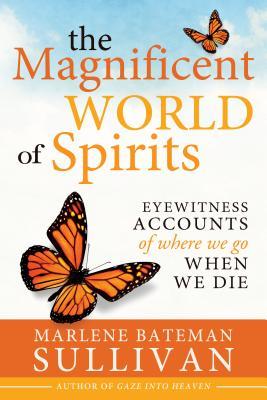 The Magnificient World of Spirits