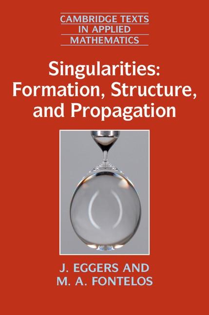 Singularities: Formation Structure and Propagation