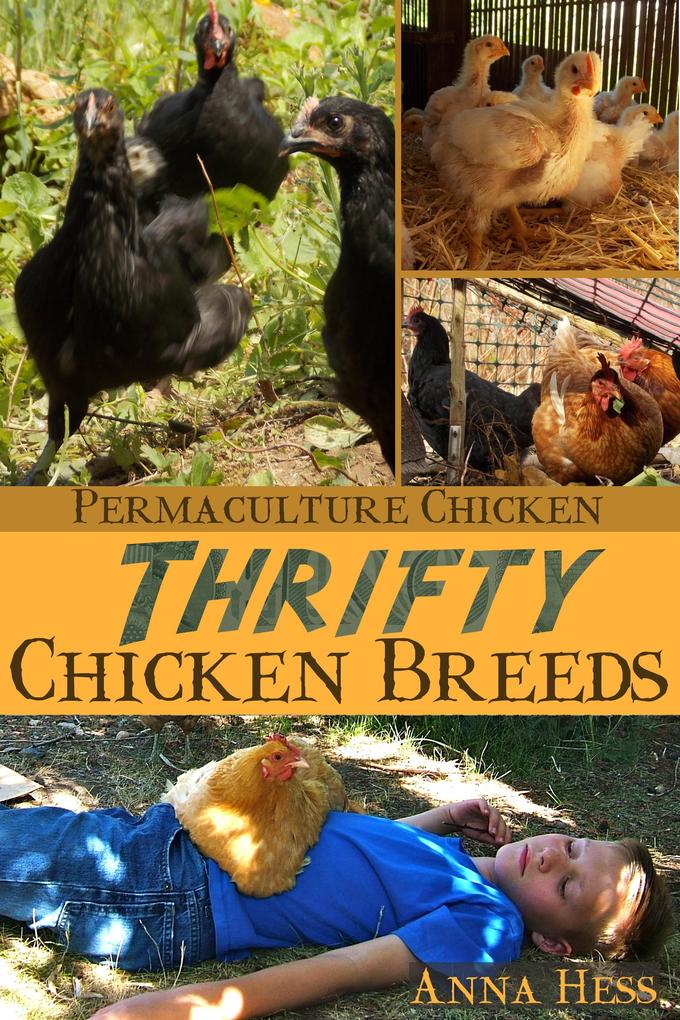 Thrifty Chicken Breeds: Efficient Producers of Eggs and Meat on the Homestead (Permaculture Chicken #3)