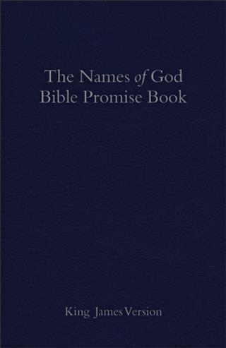 KJV Names of God Bible Promise Book Blue Imitation Leather