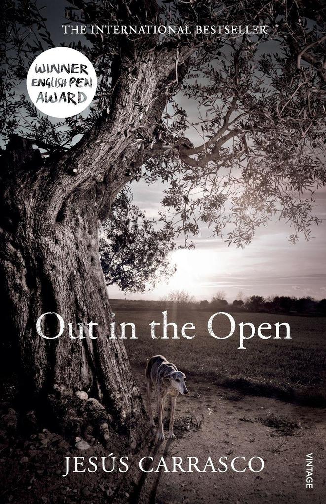 Out in the Open