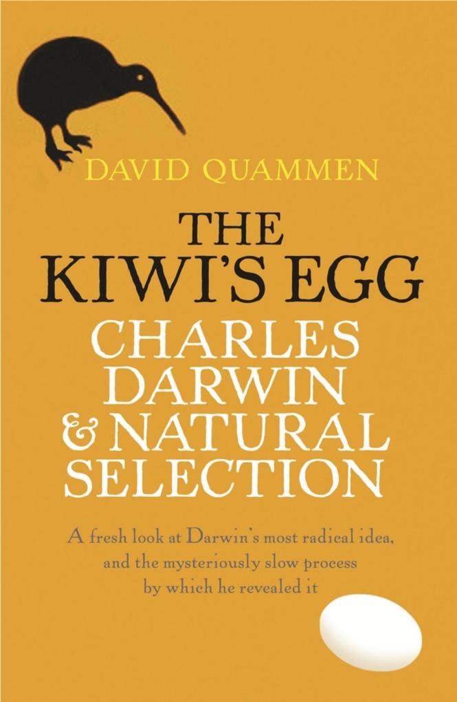 The Kiwi‘s Egg