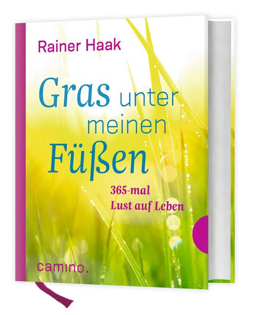 Image of Gras unter meinen Füßen