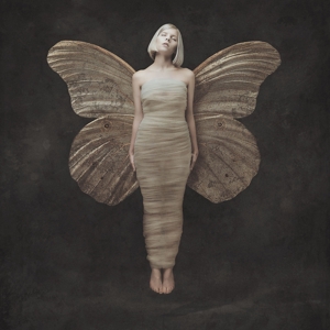 Universal Music Vertrieb - A Division of Universal Music All My Demons Greeting Me As A Friend (Lp)