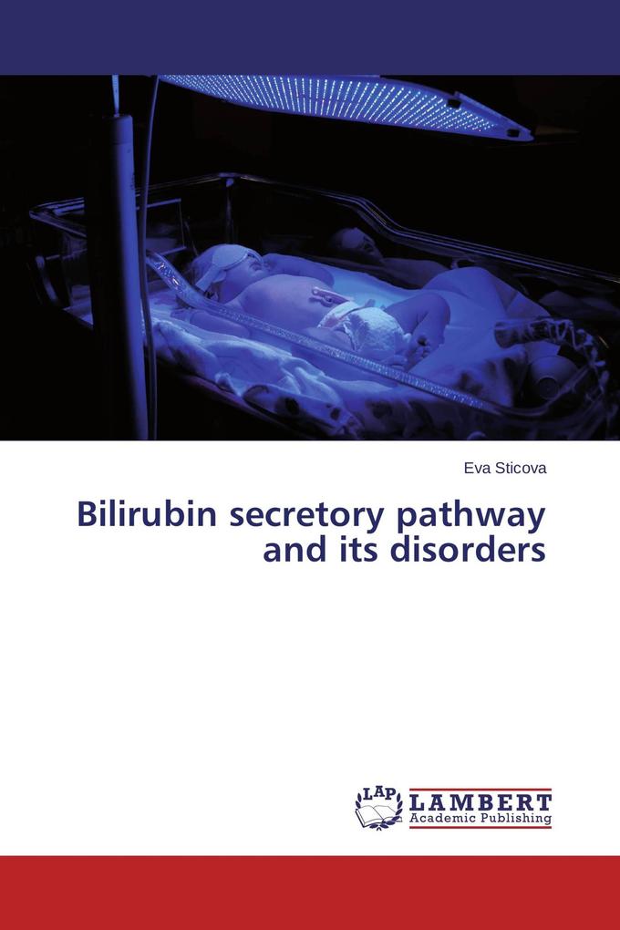 Bilirubin secretory pathway and its disorders