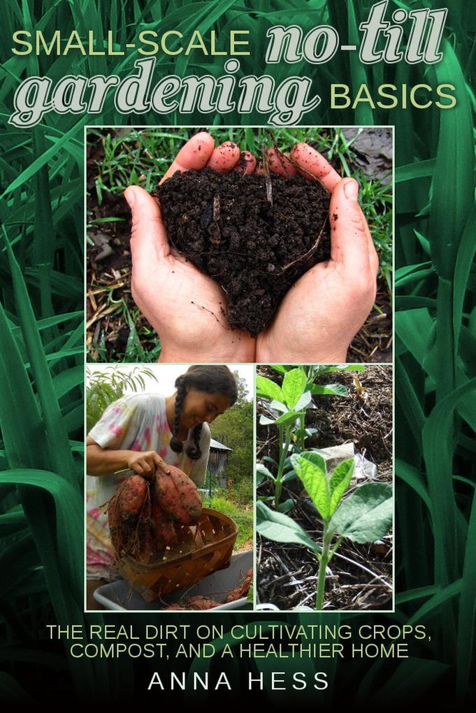Small-Scale No-Till Gardening Basics (The Ultimate Guide to Soil #2)