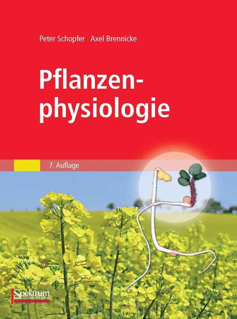 Pflanzenphysiologie - Peter Schopfer/ Axel Brennicke