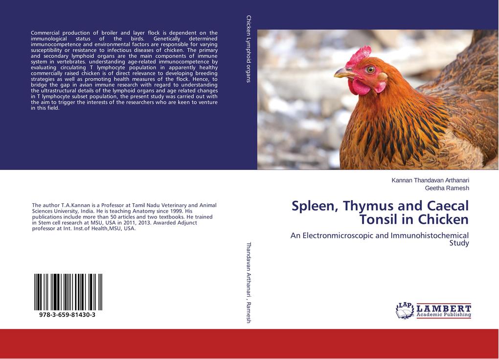 Spleen Thymus and Caecal Tonsil in Chicken