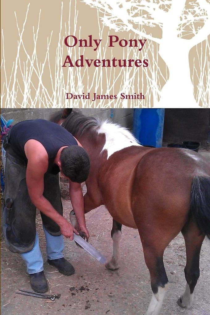 Only Pony Adventures