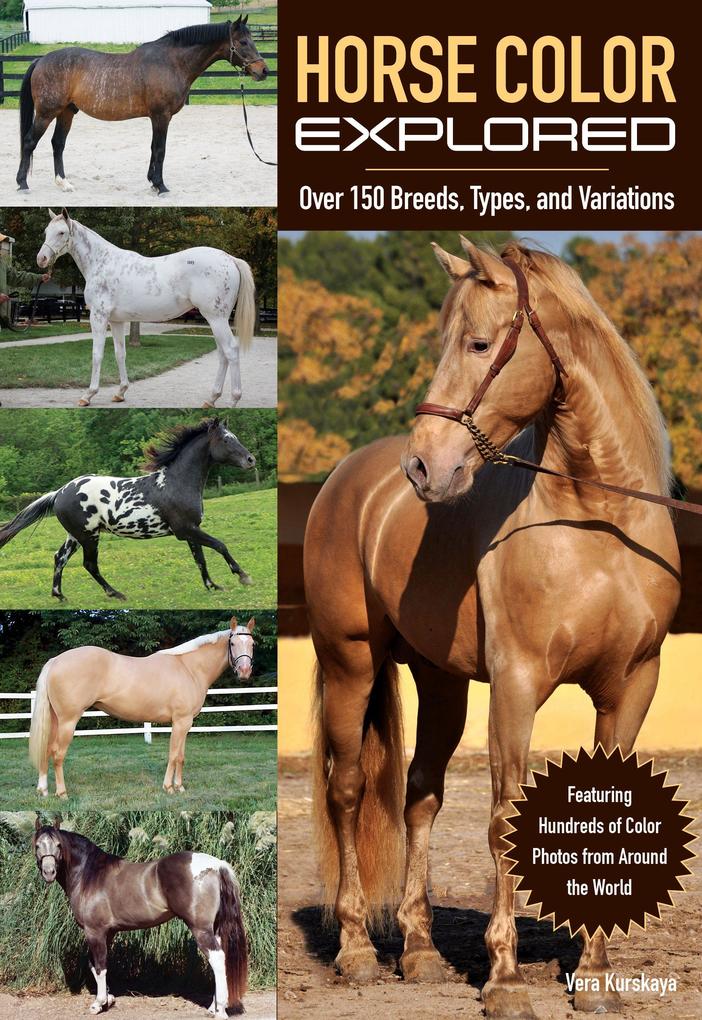 Horse Color Explored: Over 150 Breeds Types and Variations