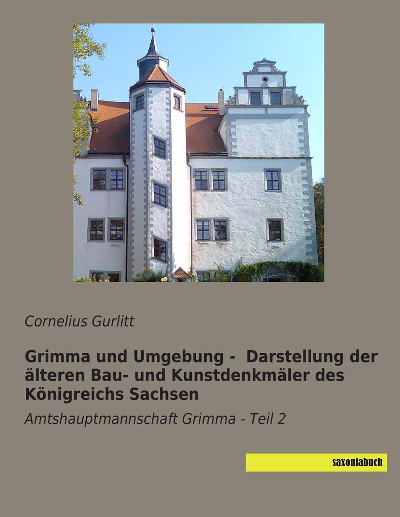 Grimma und Umgebung - Darstellung der älteren Bau- und Kunstdenkmäler des Königreichs Sachsen