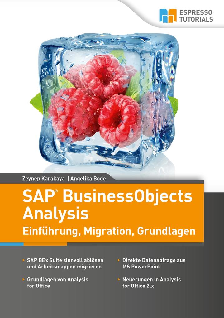 SAP BusinessObjects Analysis - Einführung Migration Grundlagen