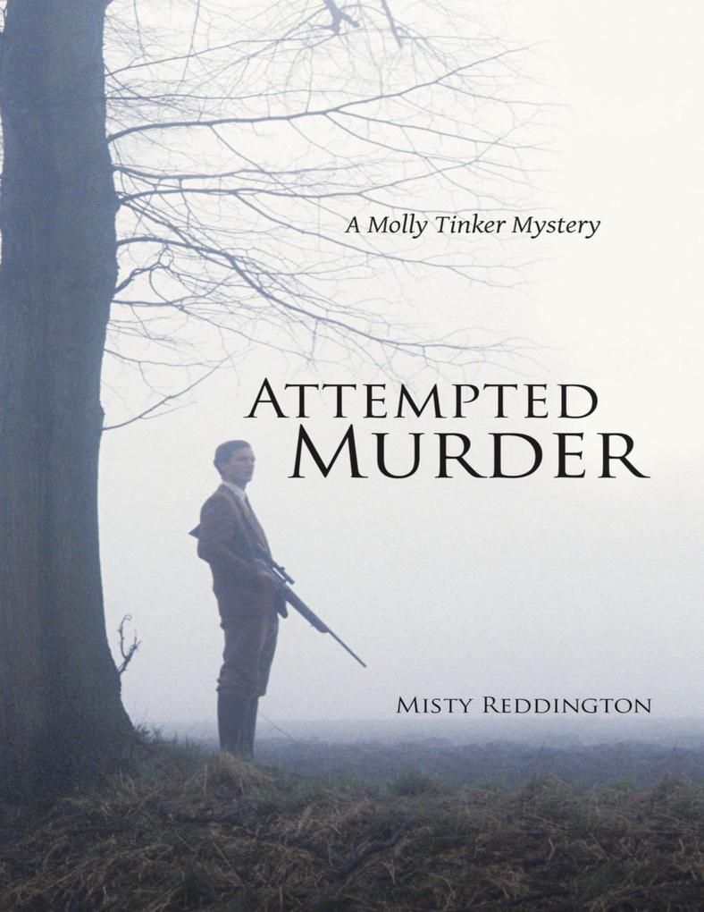 Attempted Murder: A Molly Tinker Mystery