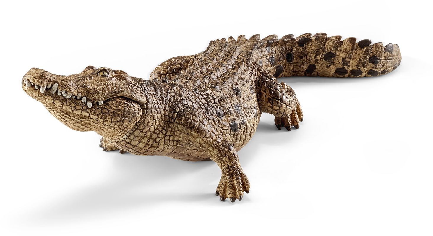 Image of Schleich - Wild Life - Krokodil