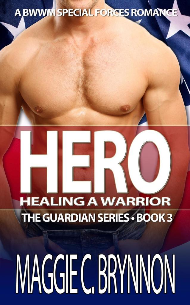 Hero: Healing a Warrior Book 3 (The Guardian Series #3)