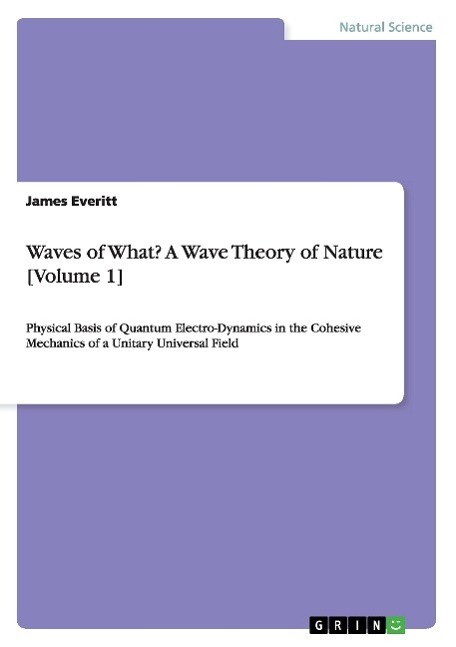 Waves of What? A Wave Theory of Nature [Volume 1] als Buch von James Everitt - James Everitt