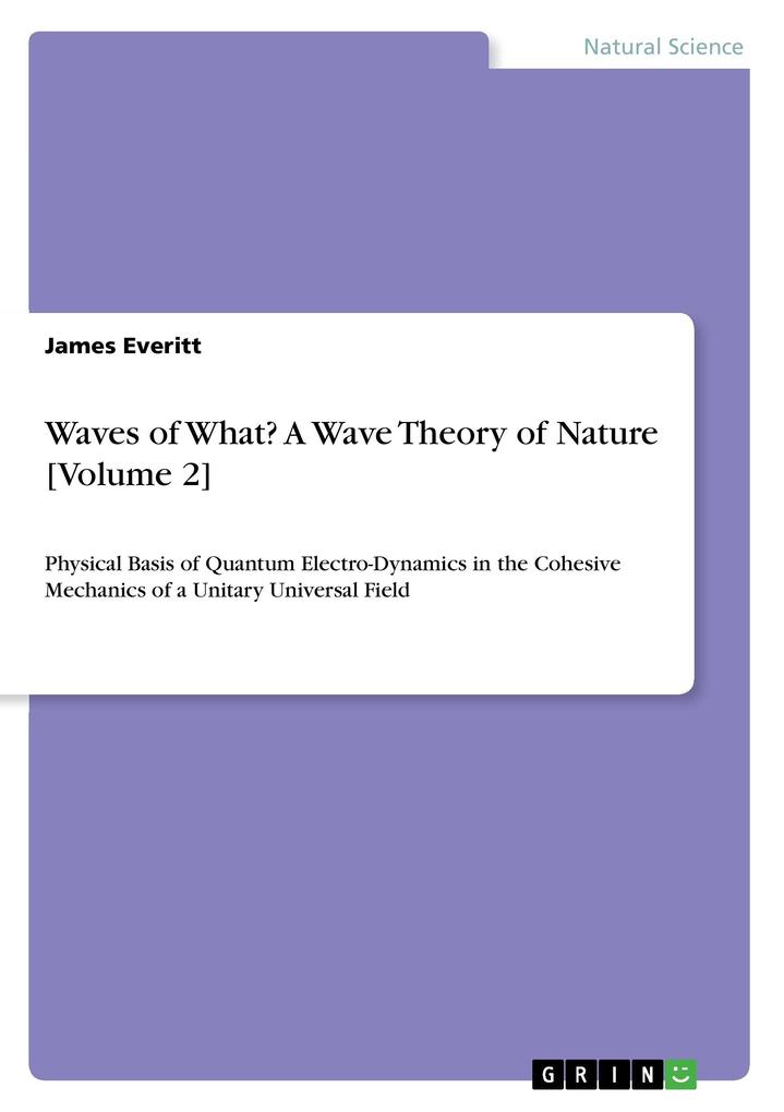 Waves of What? A Wave Theory of Nature [Volume 2] als Buch von James Everitt - James Everitt