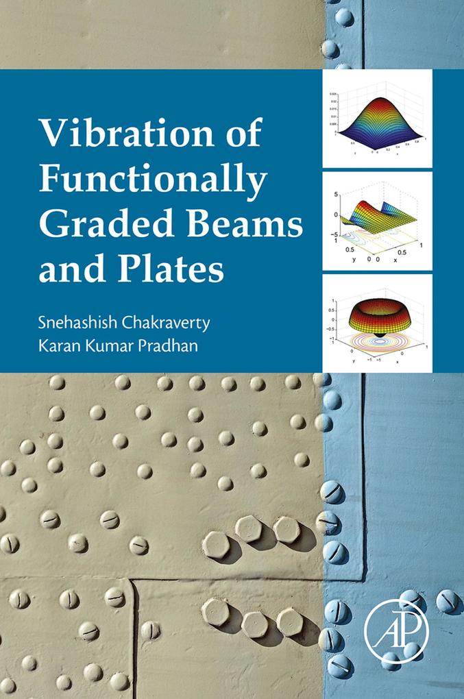 Vibration of Functionally Graded Beams and Plates