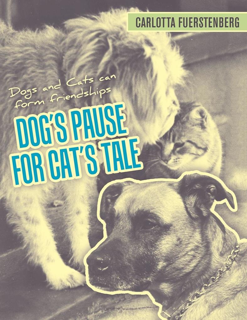Dog‘s Pause for Cat‘s Tale: Dogs and Cats can form friendships